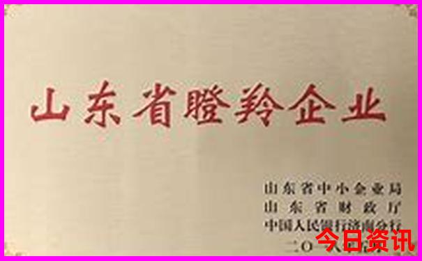 秦岭适合自驾游的峪口